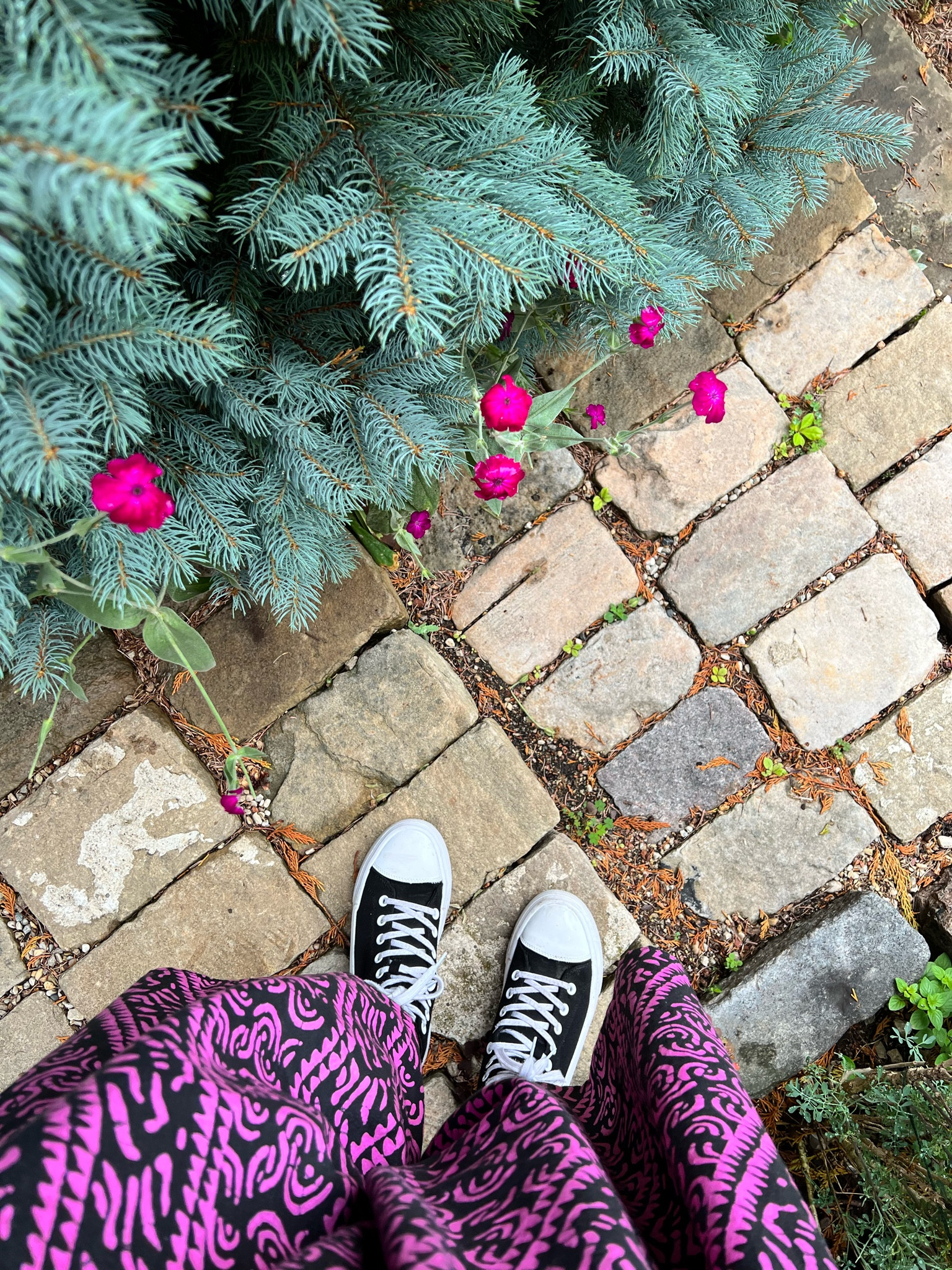 When the garden brings the color you gotta do the same.  

#LTKSeasonal #LTKcurves #LTKshoecrush