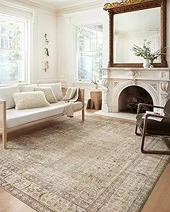 Loloi II Margot Collection MAT-01 Antique / Sage 2'-6" x 11'-6", .38" Thick, Runner Rug, feat.Clo... | Amazon (US)
