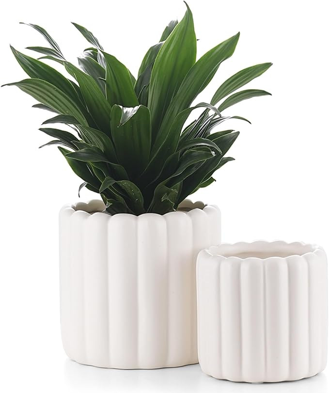 Ceramic Plant Pots,6 inch+4.7 Inch Planter Pot with Drainage Holes,Ceramic Planters for Indoor Pl... | Amazon (US)