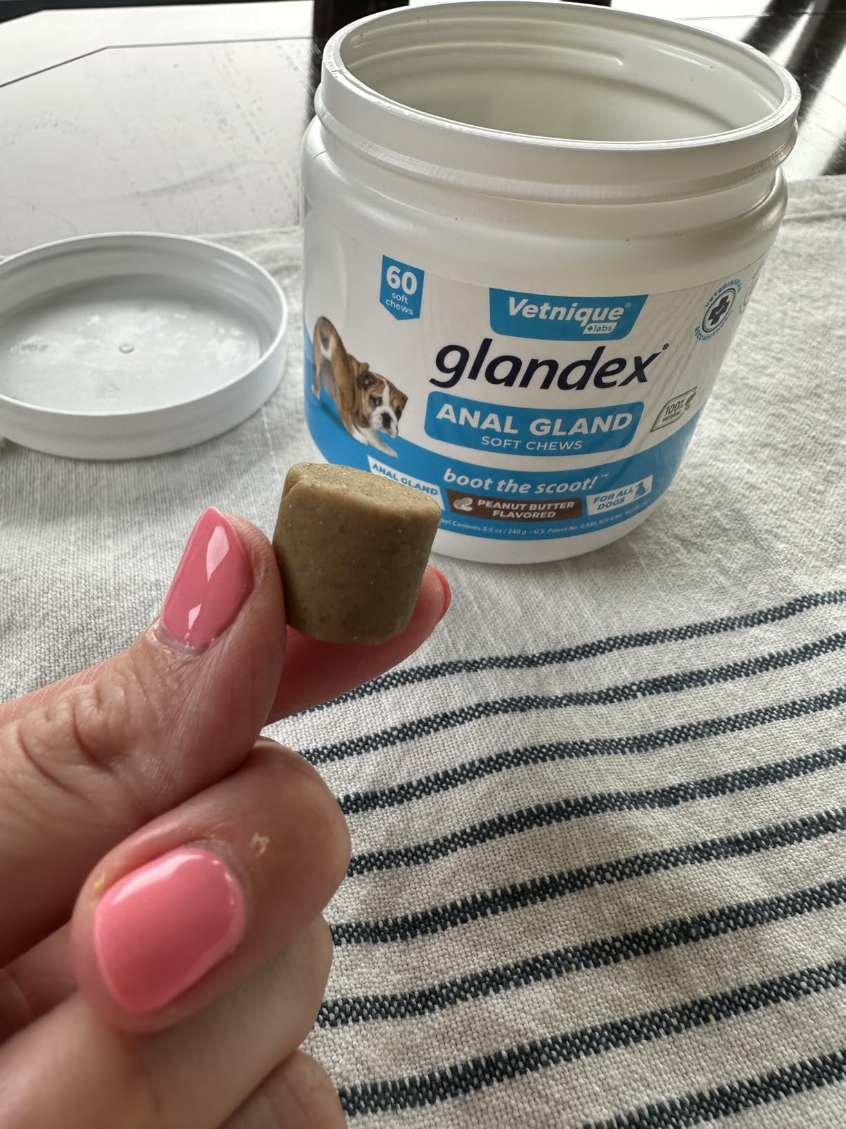 Vetnique Glandex Anal Gland Soft Chew Treats with Pumpkin for Dogs Digestive Enzymes, Probiotics ... | Amazon (US)