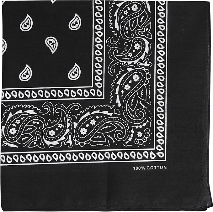 Raylarnia Bandana Multi-Purpose 100% Cotton Headbands for Women, 22 inch Paisley Cowboy Bandanas ... | Amazon (US)