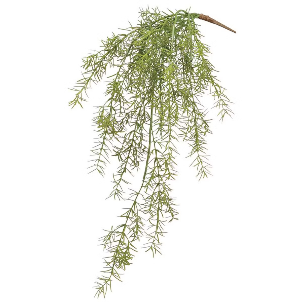 Allstate Floral Soft Sprengeri Artificial Hanging Spray - 26" - Green | Target