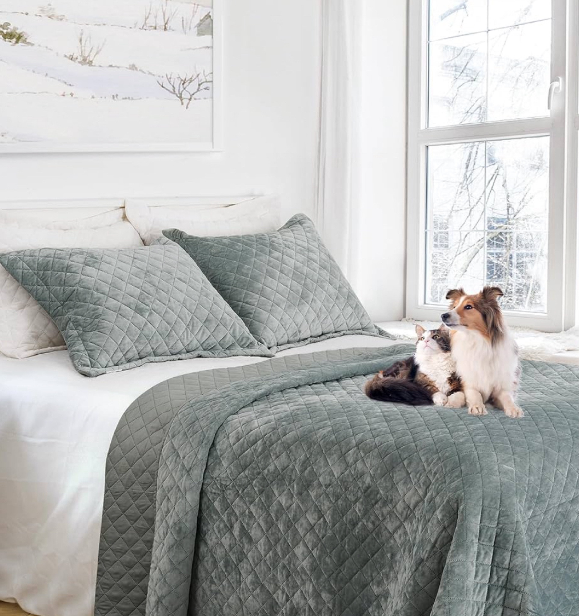 #LTKFindsUnder100 #LTKHome