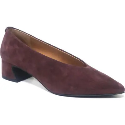 Gentle Souls Galleria Pointed Toe Pump in Camel Leather at Nordstrom, Size 7.5 | Nordstrom