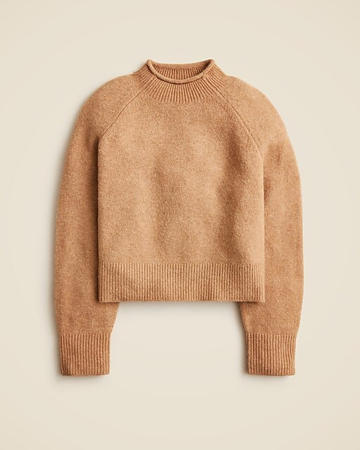 Rollneck™ sweater in Supersoft yarn | J. Crew US