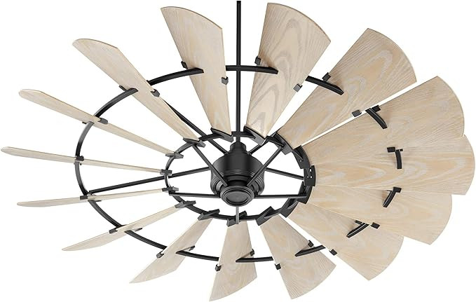 Quorum International 197215-69 I Windmill Collection 72 Inch Fifteen Blade Ceiling Fan - Noir Fin... | Amazon (US)