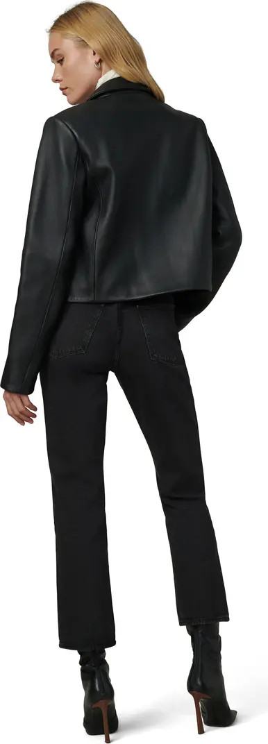 The Dani Michelle Maren Leather Jacket | Nordstrom