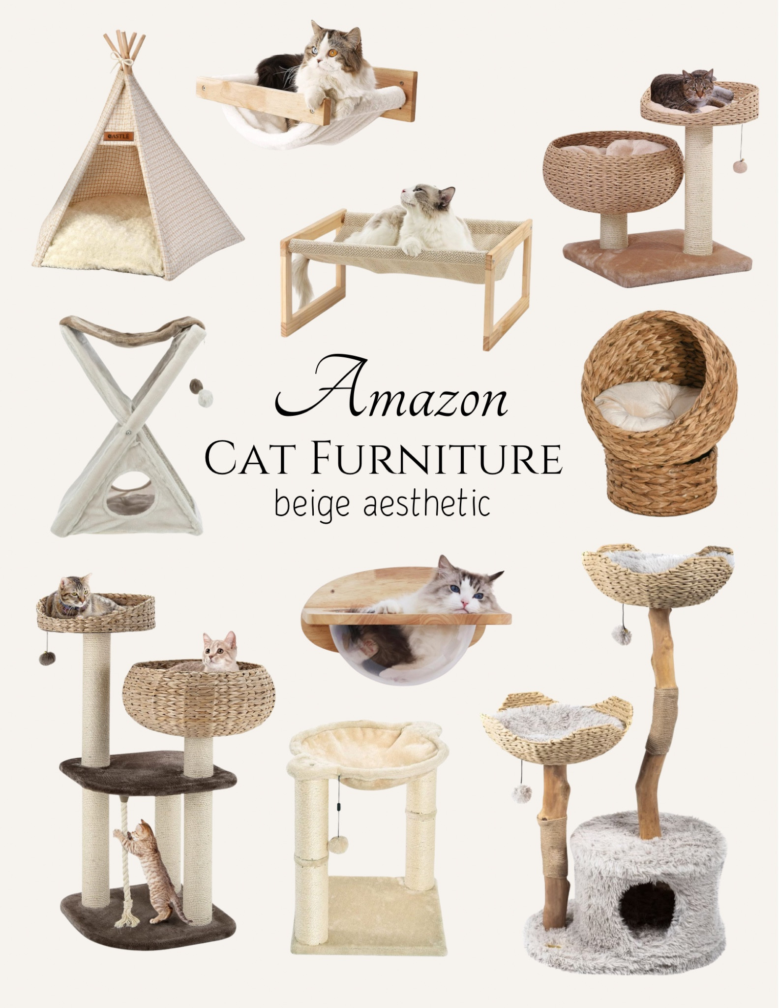 Our favorite modern cat furniture finds on Amazon! 

#LTKhome #LTKstyletip #LTKfamily