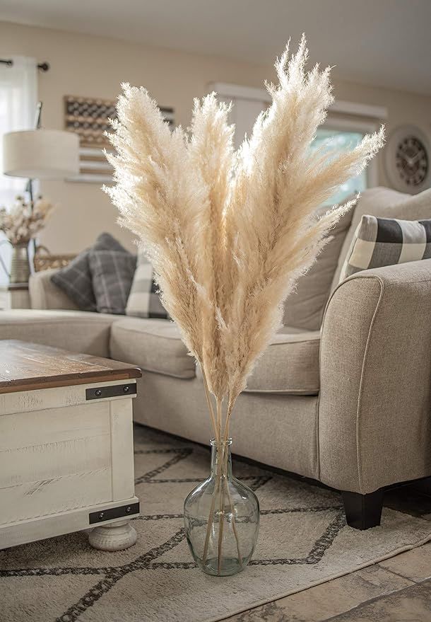 48" Extra Large Pampas Grass Stems Beige- 4 Pampas Stems - Tall-Pampas Grass for Floor Vase - Wed... | Amazon (US)