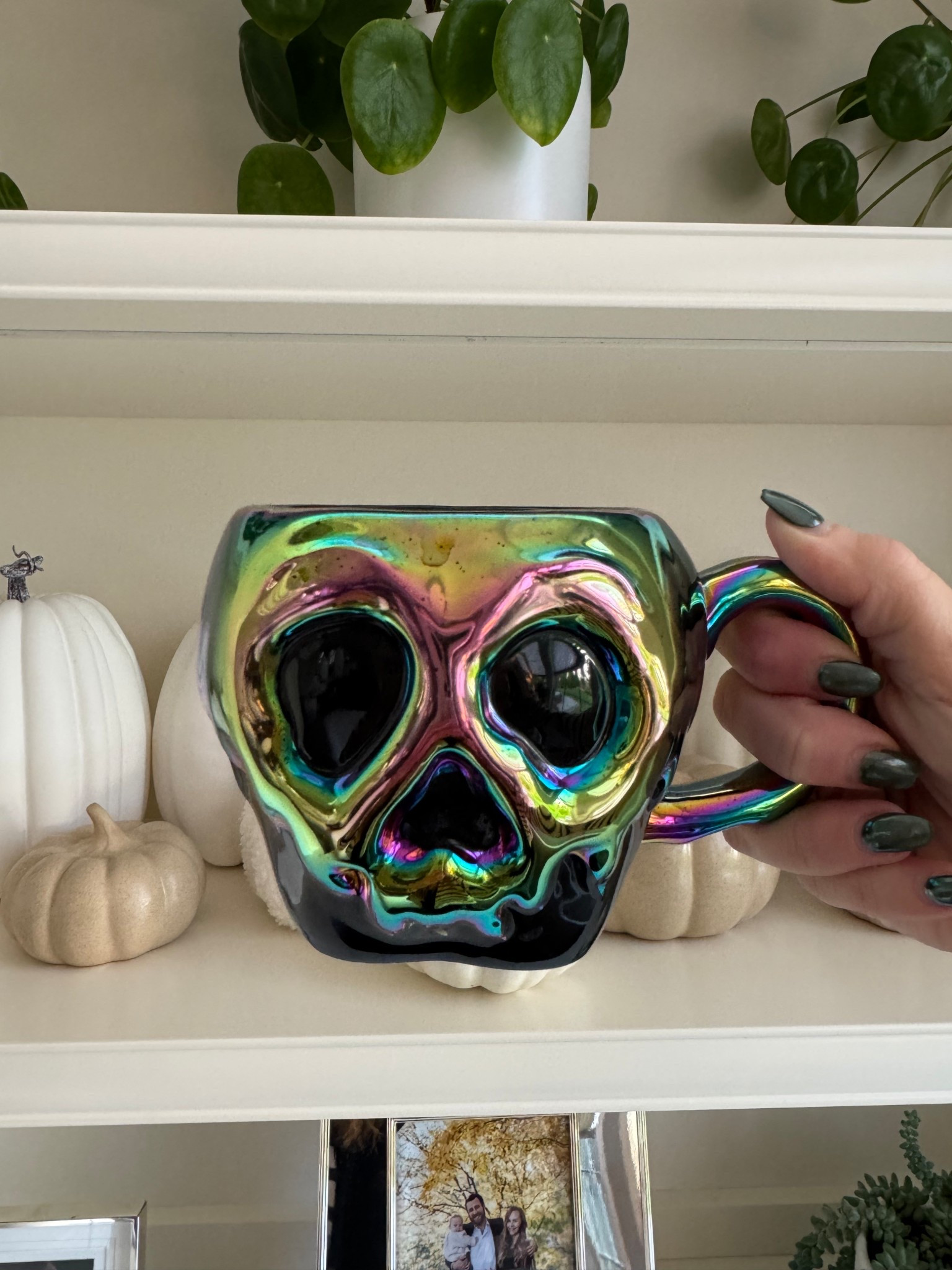 In my villain era…

Halloween, spooky, Snow White, Disney, fall, fall home decor

#LTKFallSale #LTKHome #LTKSeasonal