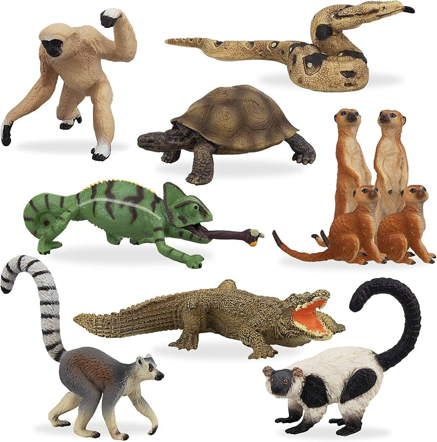 Toymany 11PCS Madagascar Jungle Animals Figurines Toy with Meerkat Lemur Chameleon Crocodile-Jung... | Amazon (US)