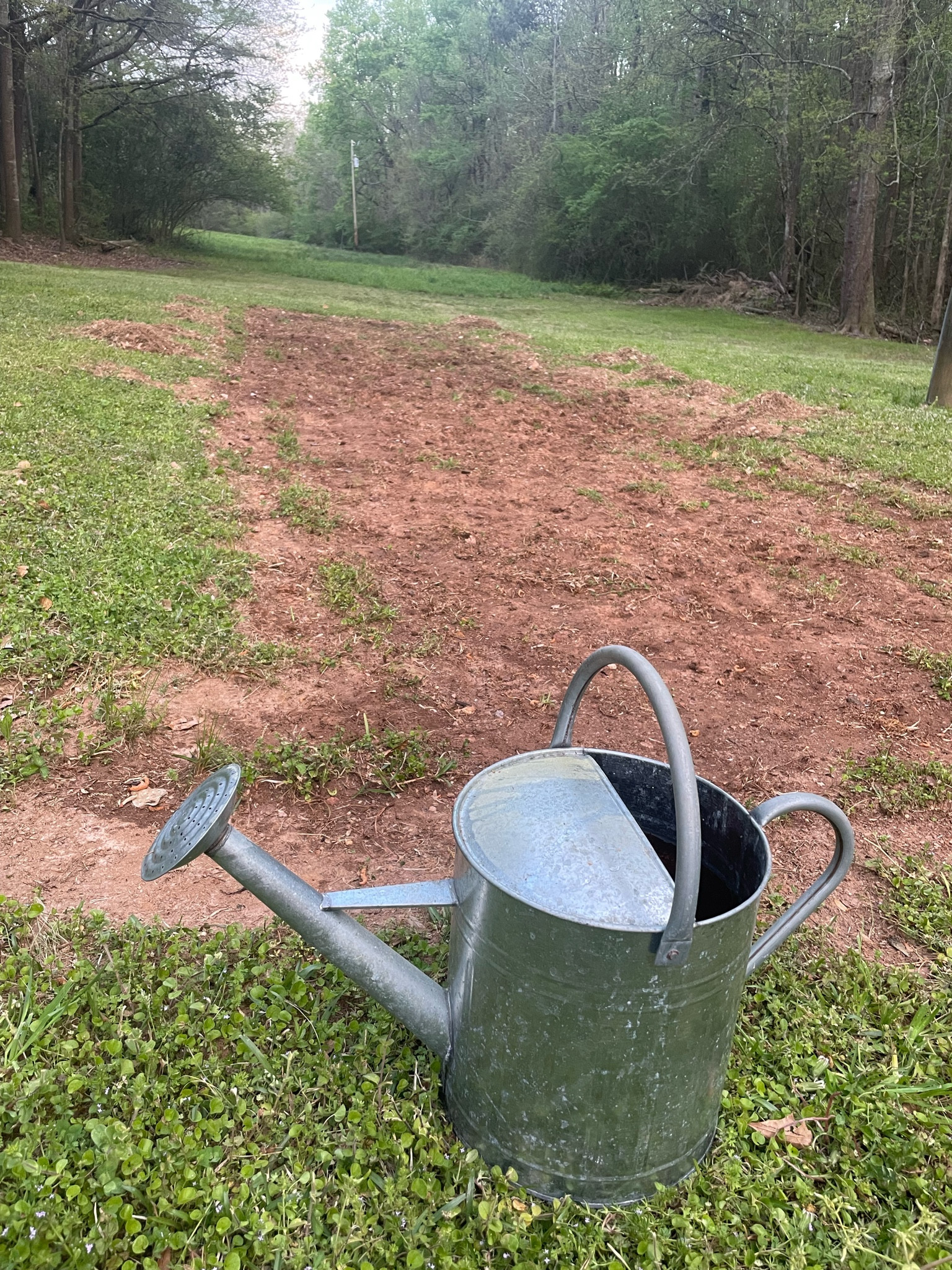 Garden time! 👩🏽‍🌾🌿
#garden #flowerbed #fairygarden

#LTKGiftGuide #LTKSeasonal #LTKstyletip