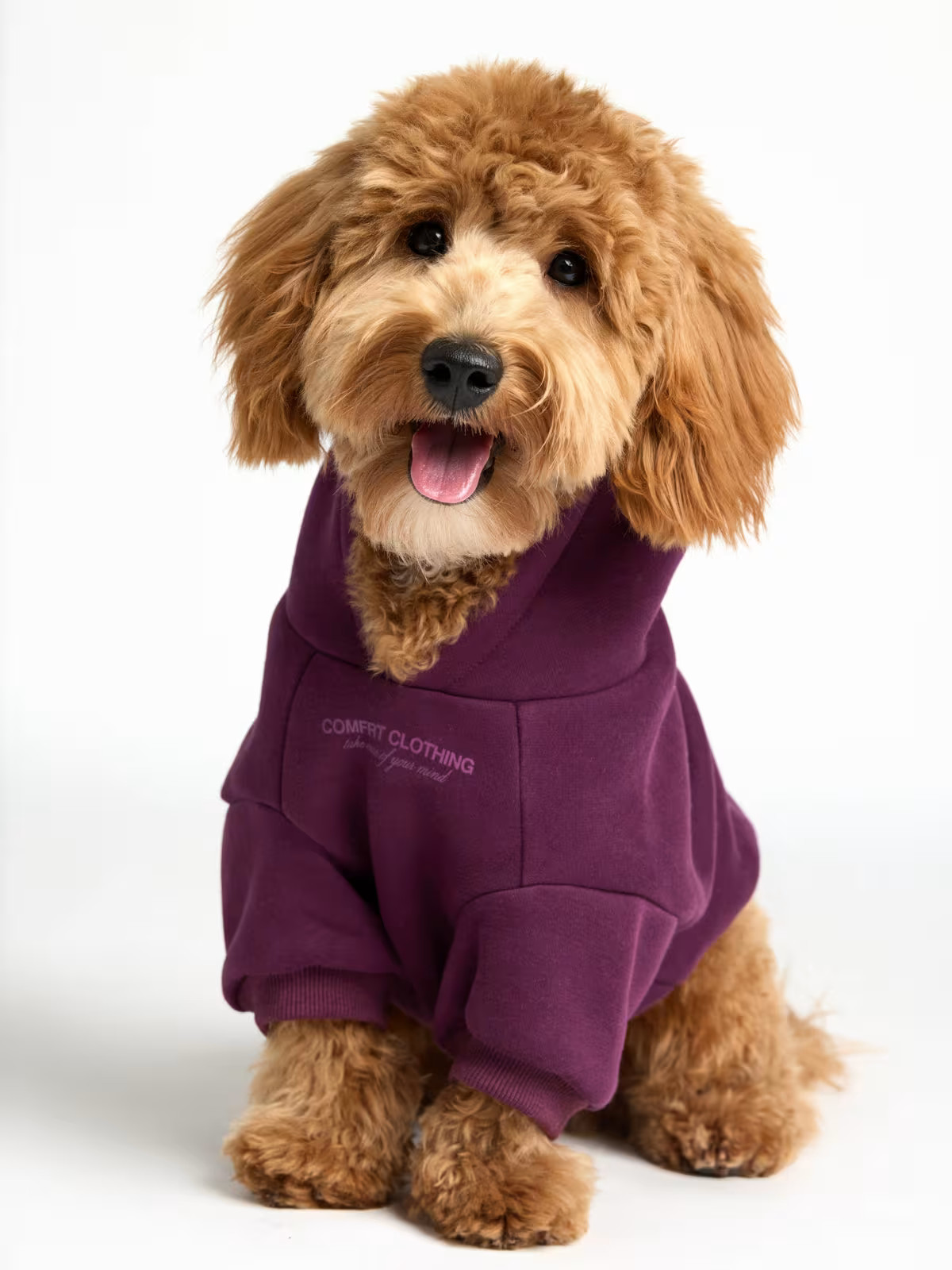 You Matter Paw Hoodie | Comfrt