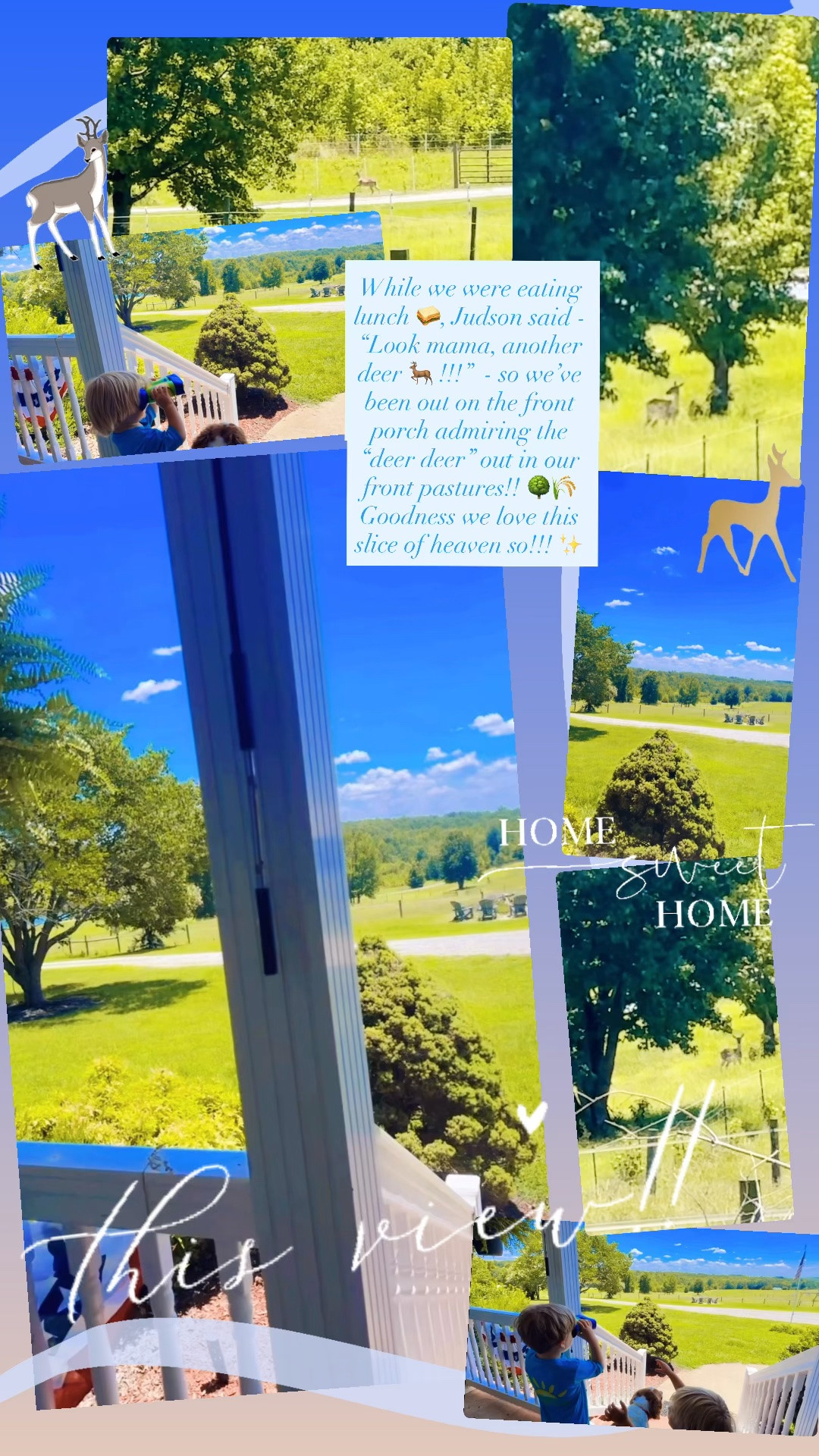While we were eating lunch 🥪, Judson said - “Look mama, another deer 🦌 !!!”  - so we’ve been out on the front porch admiring the “deer deer” out in our front pastures!! 🌳🌾 Goodness we love this slice of heaven so!!! ✨