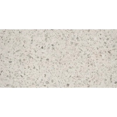 Terazio Bianco 12 in. x 24 in. Matte Porcelain Floor and Wall Tile (11.63 sq. ft./Case) | Wayfair North America