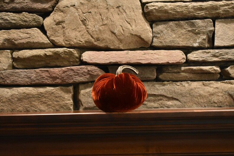 Velvet Pumpkins Medium 4"-Cutiekins,  with real pumpkin stem. Fall, Thanksgiving, wedding decor, ... | Etsy (US)