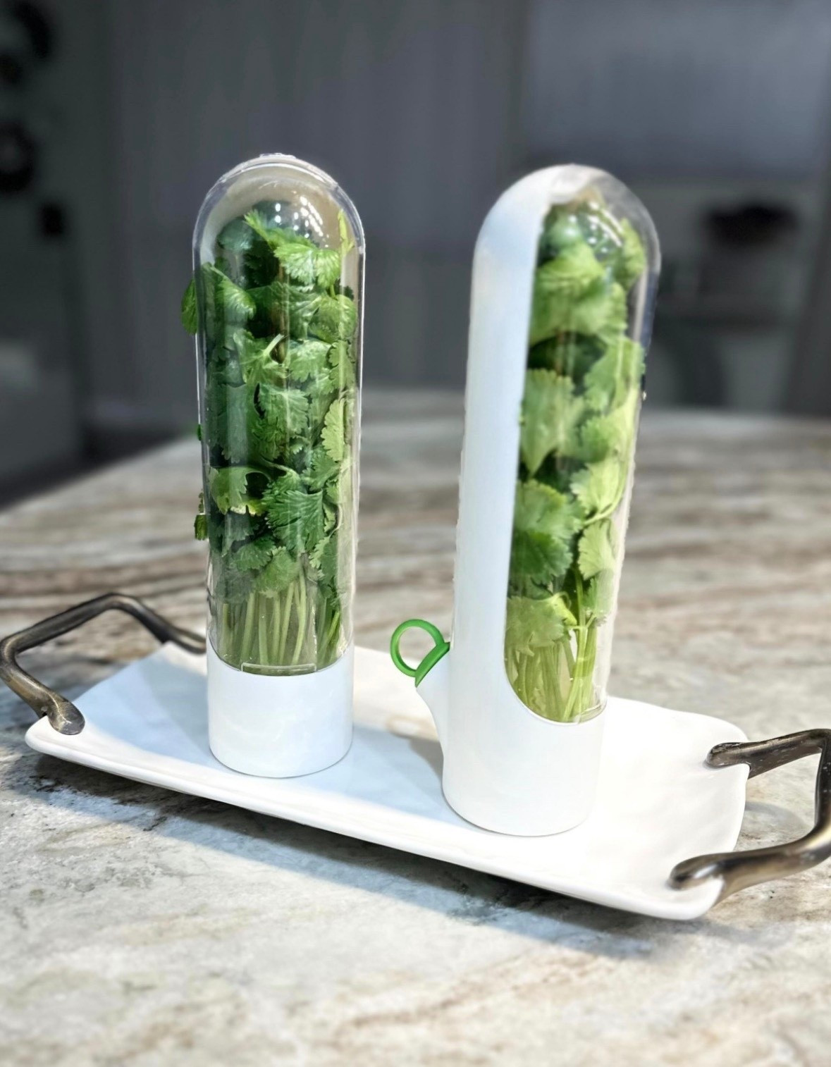 Perfect containers to store herbs, found one on Shein, love them and keeps my herbs fresh in refrigerator for longer time. Just add water from sides

#LTKHome