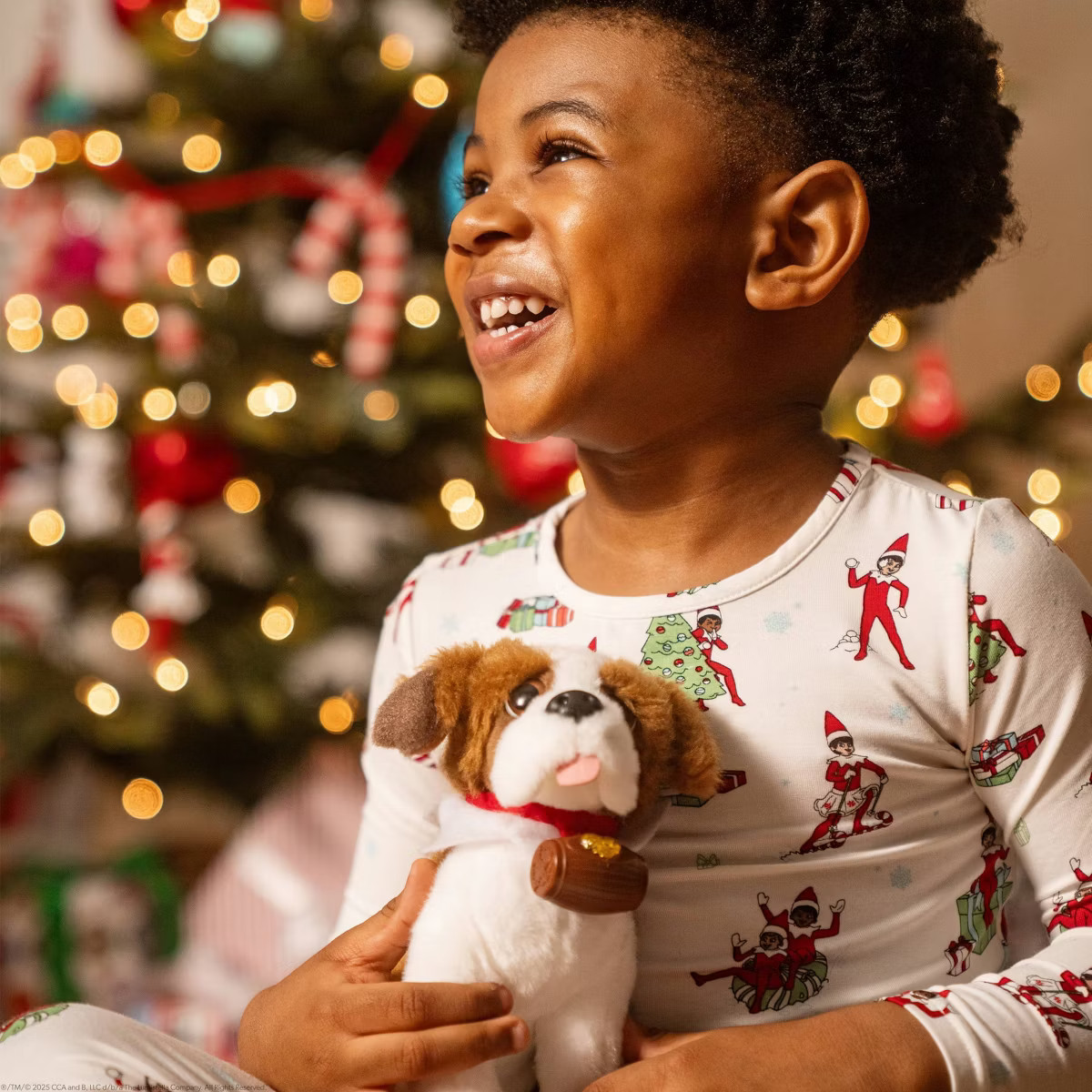 Elf on the Shelf Elf Pets A St. Bernard Tradition Plush Toy with Storybook | Target