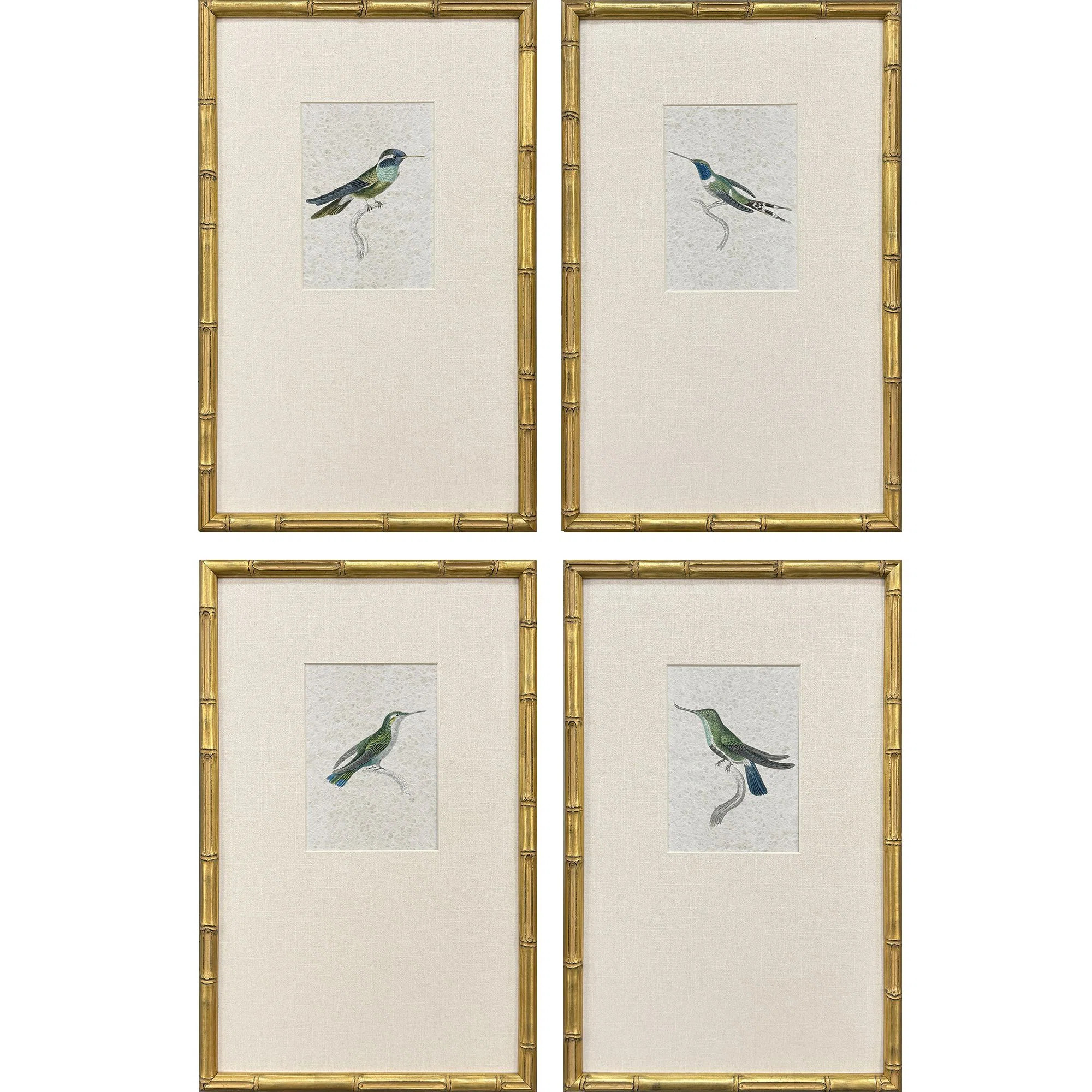 Antique Hummingbirds Framed Art (Set of 4) | Birch Lane