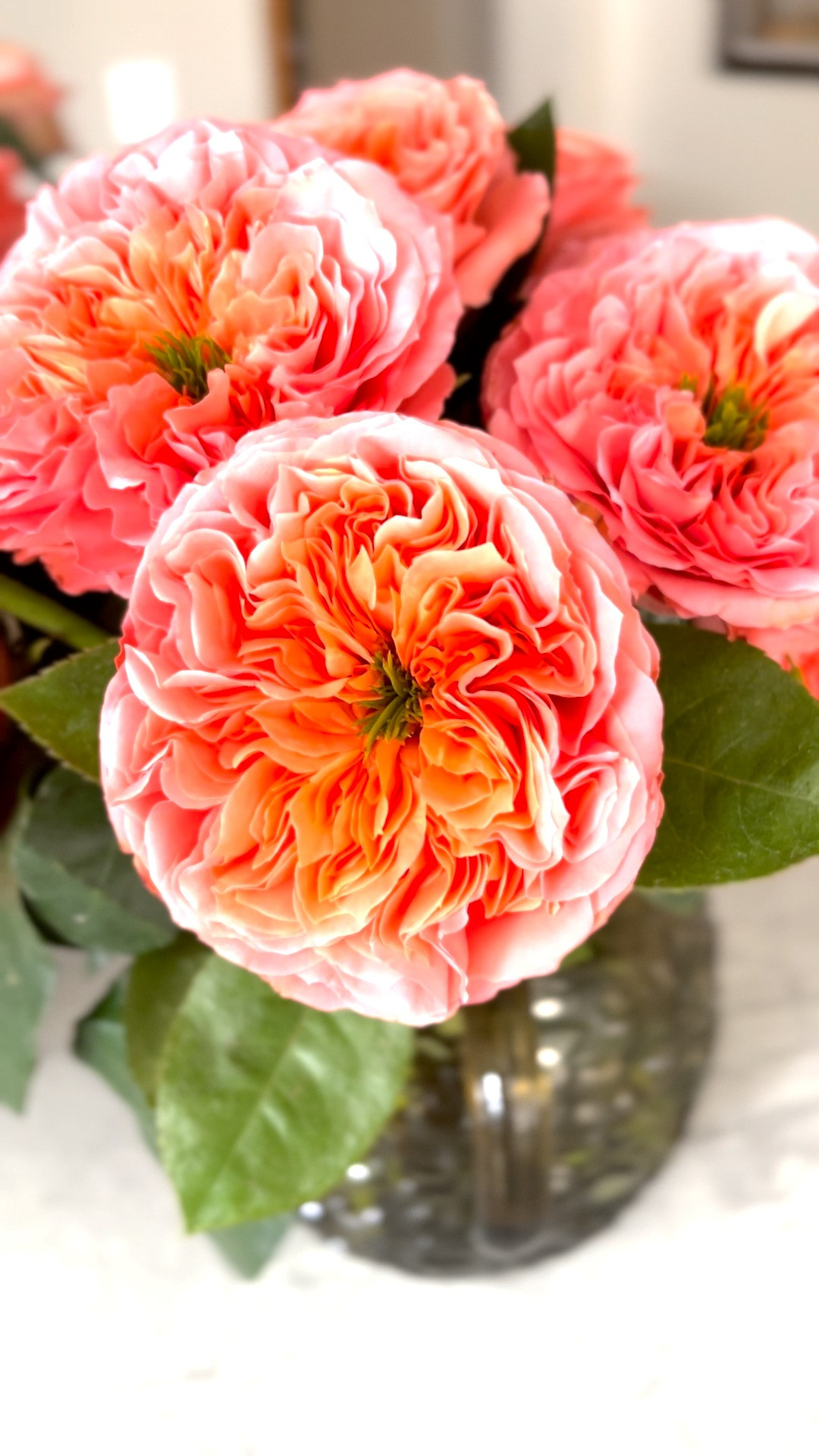 Rosaholics | Farm Fresh Flowers | Gifts for Her | Valentines Day | Gift Idea | Valentines Day Gift Ideas   

 #LTKGiftGuide #LTKSeasonal #LTKFindsUnder100