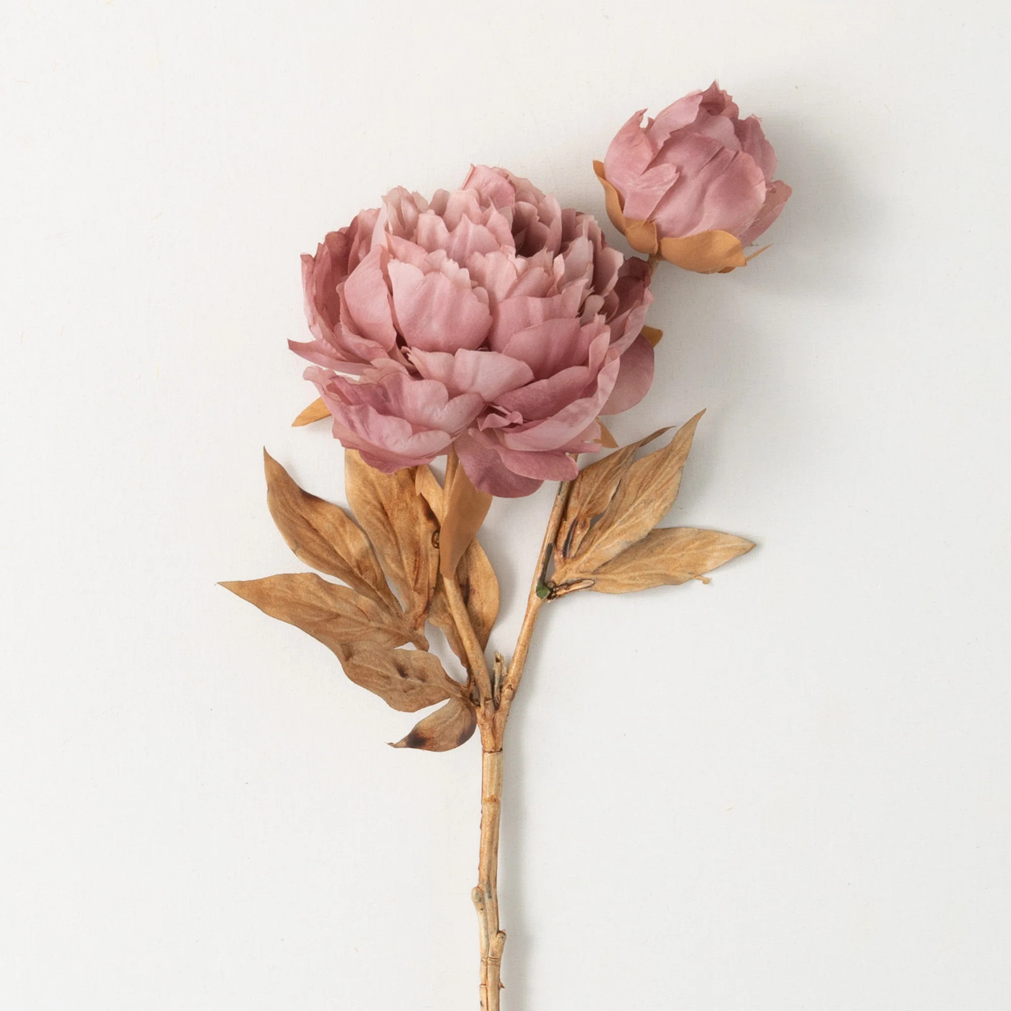 Nod To Nature Peony Arrangement | Wayfair North America