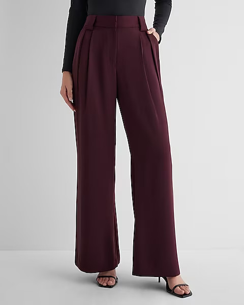 Stylist High Waisted Pleated Wide Leg Pant | Express