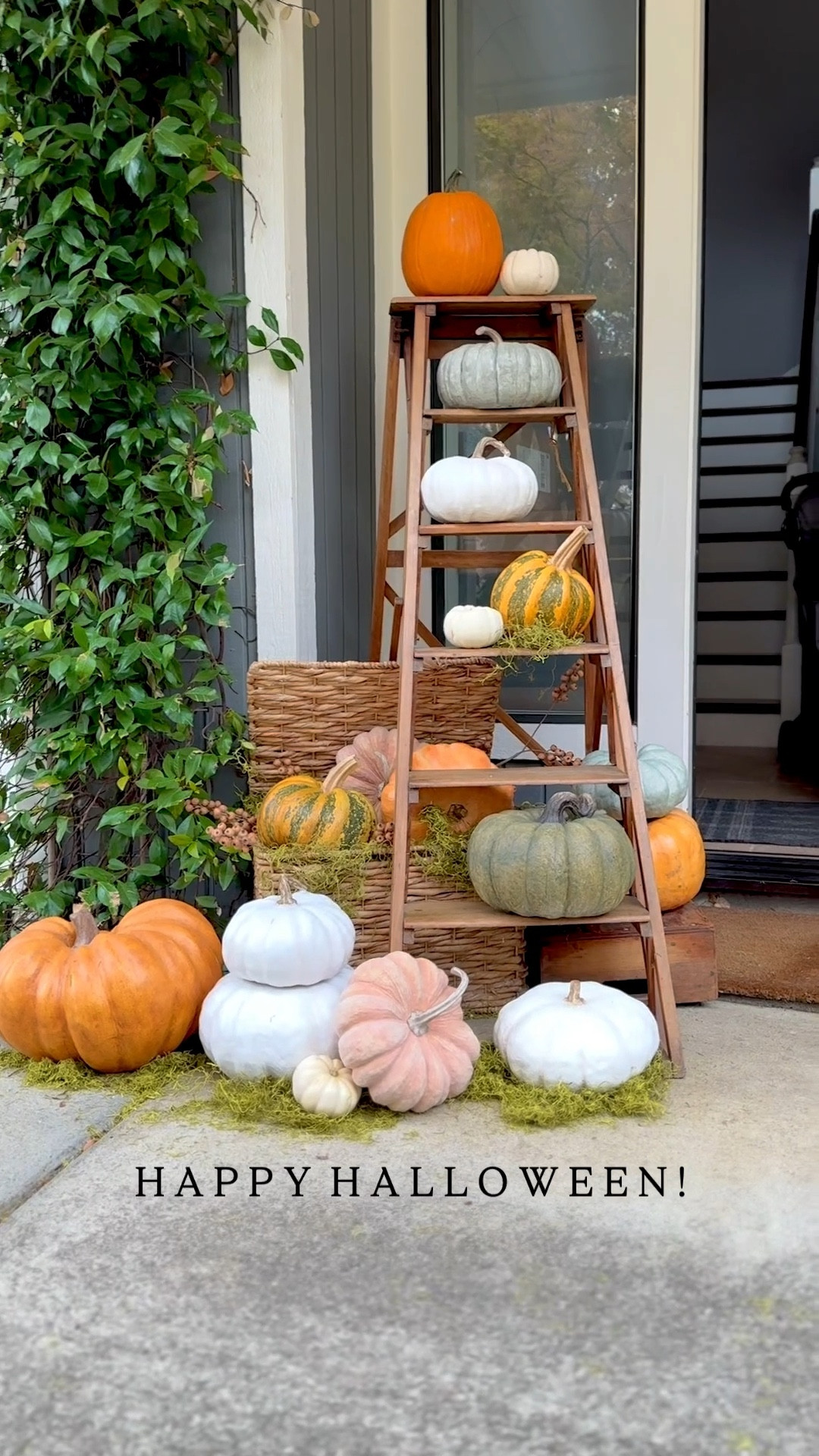 Mixing faux pumpkins with real heirloom pumpkins on my front porch this season..
Loving the start of this new collection and excited to add more and more unique finds in years to come! There are still plenty of great looking artificial pumpkins available on Amazon, PotteryBarn, Marshall’s and TJ Maxx. 
Halloween decorations, fall front porch, fall decor, pumpkin display, faux pumpkins, Halloween party, vintage finds, heirloom pumpkins

#LTKHome #LTKHalloween #LTKFindsUnder50