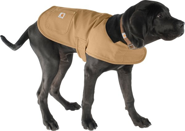 Carhartt Chore Insulated Dog Coat, Brown, X-Large | Chewy Canada