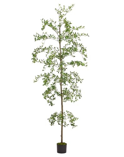 Shady Lady Faux Tree 7ft for Home Décor Black Olive Tree 84inches Realistic Fake Potted Plants with Moss Indoor Bucida Buceras Artificial Tall Trees with Natural Wood Trunk Housewarming Outdoor | Amazon (US)