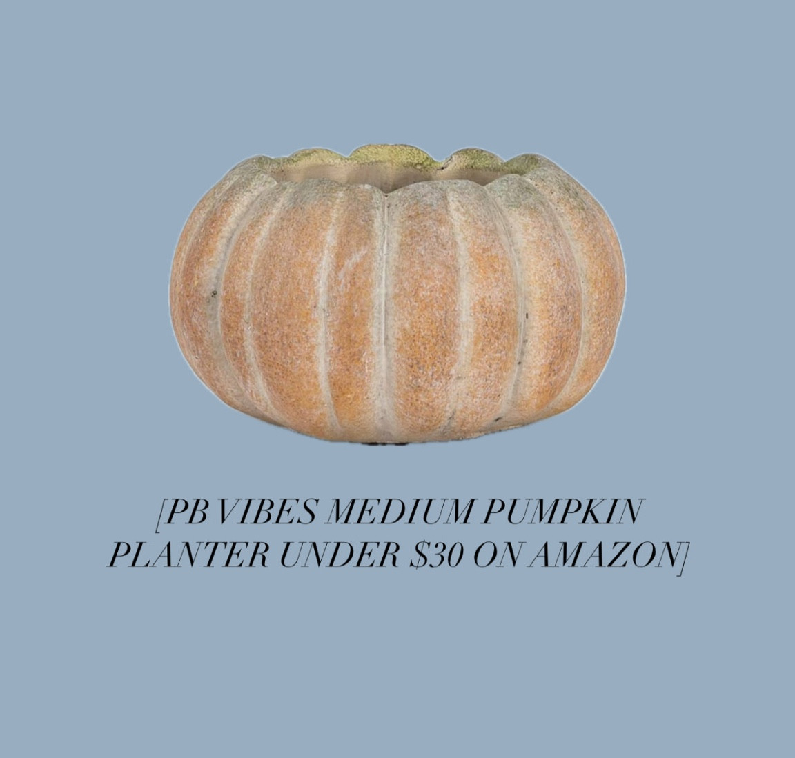 Pottery Barn vines pumpkin planter available on Amazon. 

#LTKHome #LTKSeasonal #LTKFindsUnder50