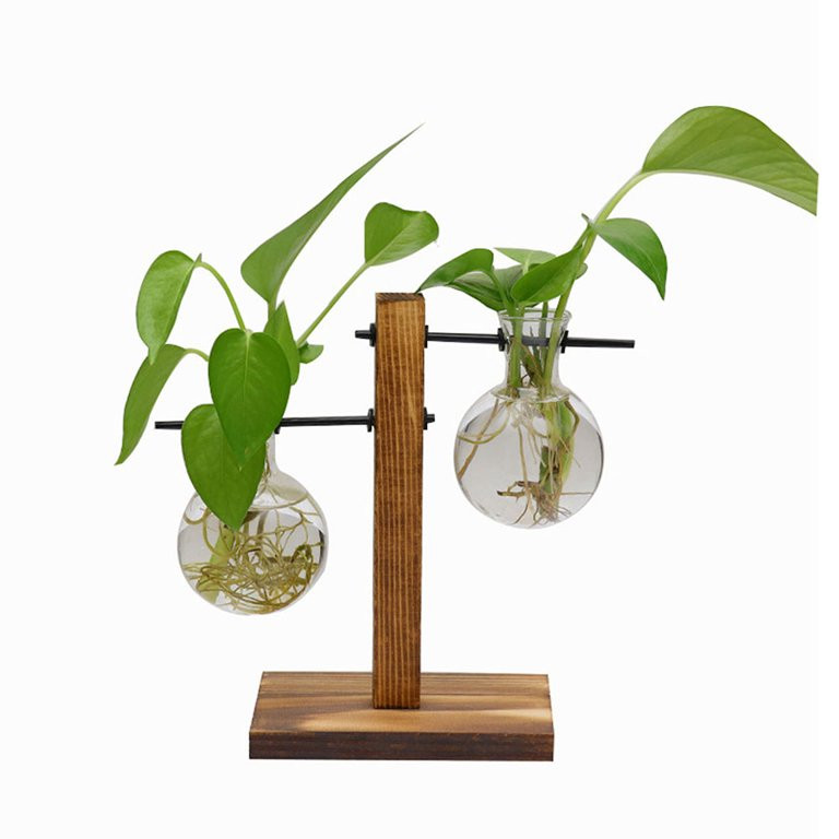 Volity Desktop Glass Planters Air Plant Terrarium Wooden Stand Air Plants Holders Hydroponic Plan... | Walmart (US)