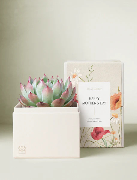 Mother's Day Bliss Garden | Lula's Garden