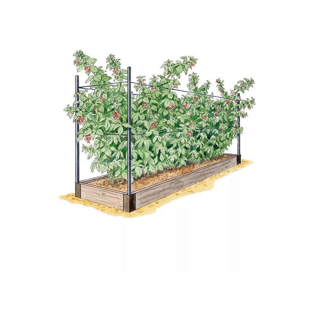 Raised Garden Bed, Raspberry Bed Kit | Target