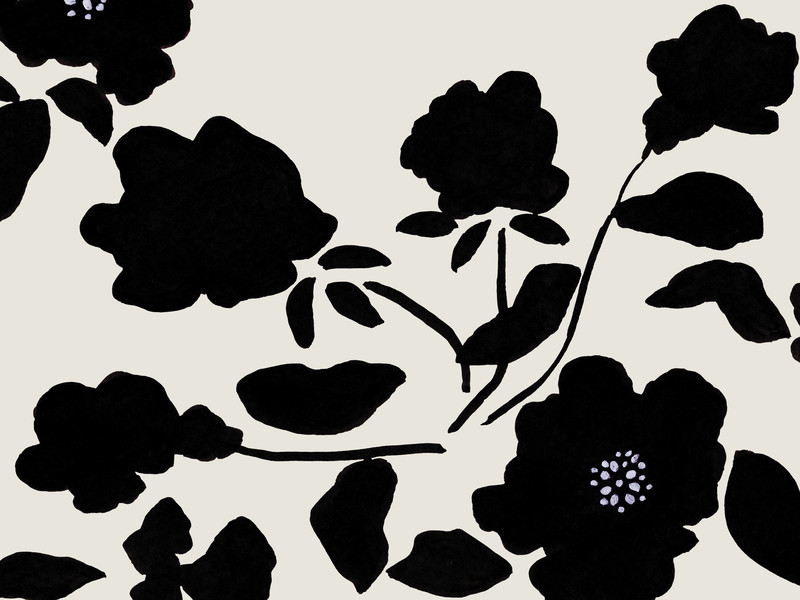 Delicate | Artfully Walls