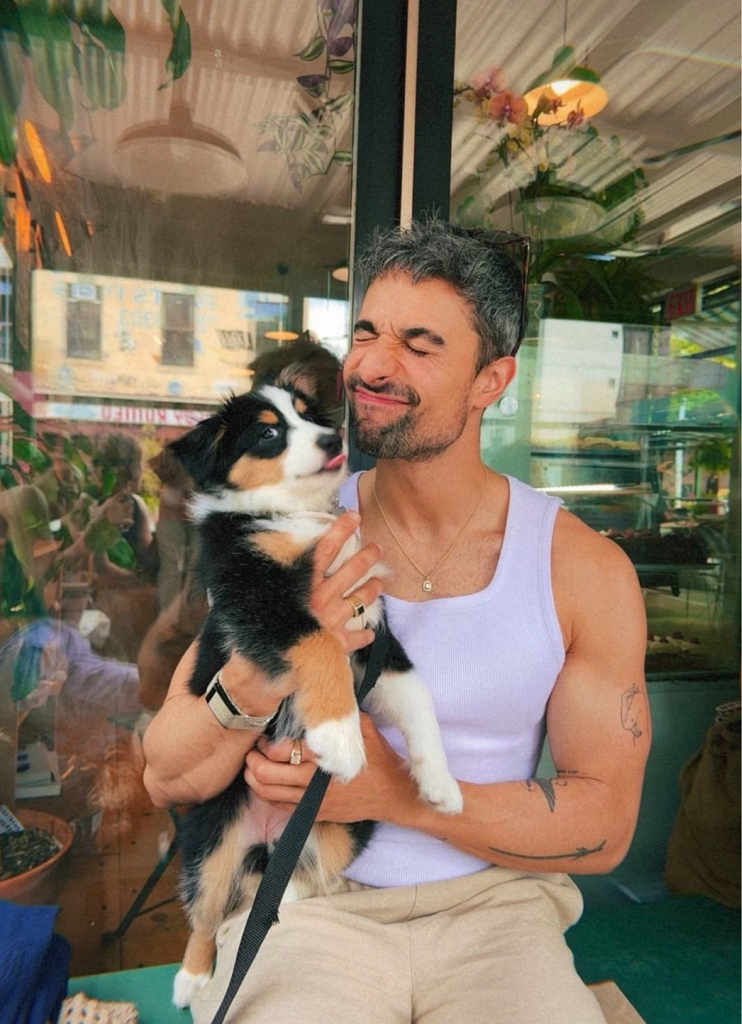 This fluffy little weapon of mass destruction turns 1 today 🐶

#LTKMens #LTKStyleTip #LTKSeasonal