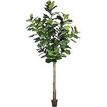 Vickerman Everyday Faux Fiddle Leaf Fig Tree 10ft Tall Green Silk Artificial Indoor Fiddle Plant Wit | Amazon (US)