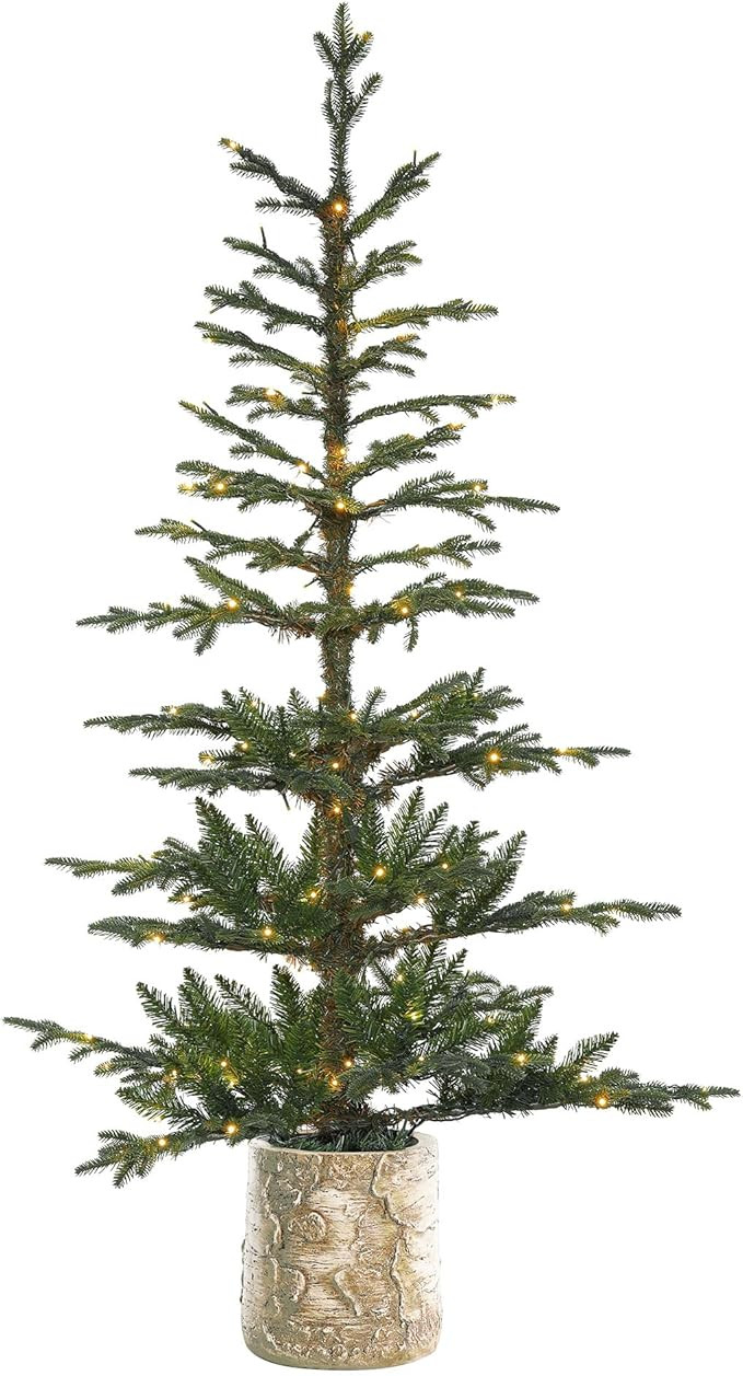 Haute Decor 5 Foot Pre-lit Timberland Fir Potted Christmas Tree | Amazon (US)