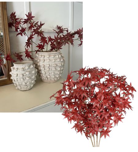 Beautiful Red Maple Leaf stems.
I bought these last year and loved them… and can’t wait to get them out this year! 

Set of 4 stems 

#LTKFind #LTKhome #LTKSeasonal