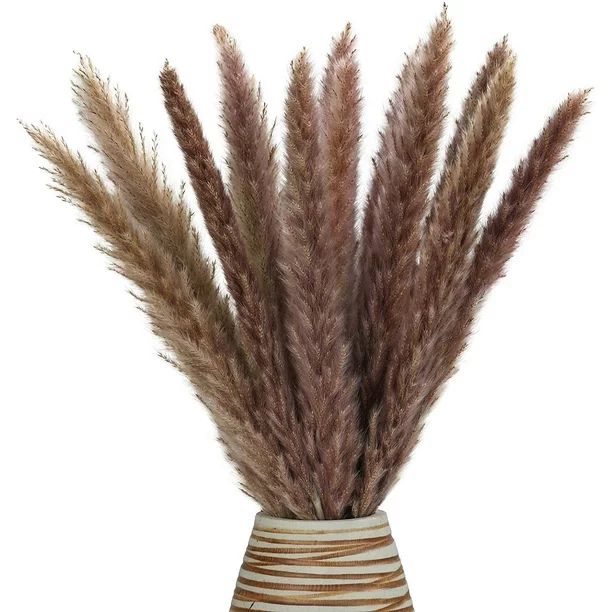 Dried Pampas Grass -Natural,30 pcs Reed Grass Plumes, Dried Flower Bouquet for DIY Home Kitchen W... | Walmart (US)
