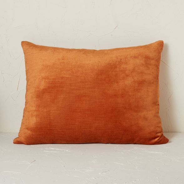 20" x 26" Standard Vintage Velvet Decorative Throw Pillow - Opalhouse™ designed with Jungalow™ | Target