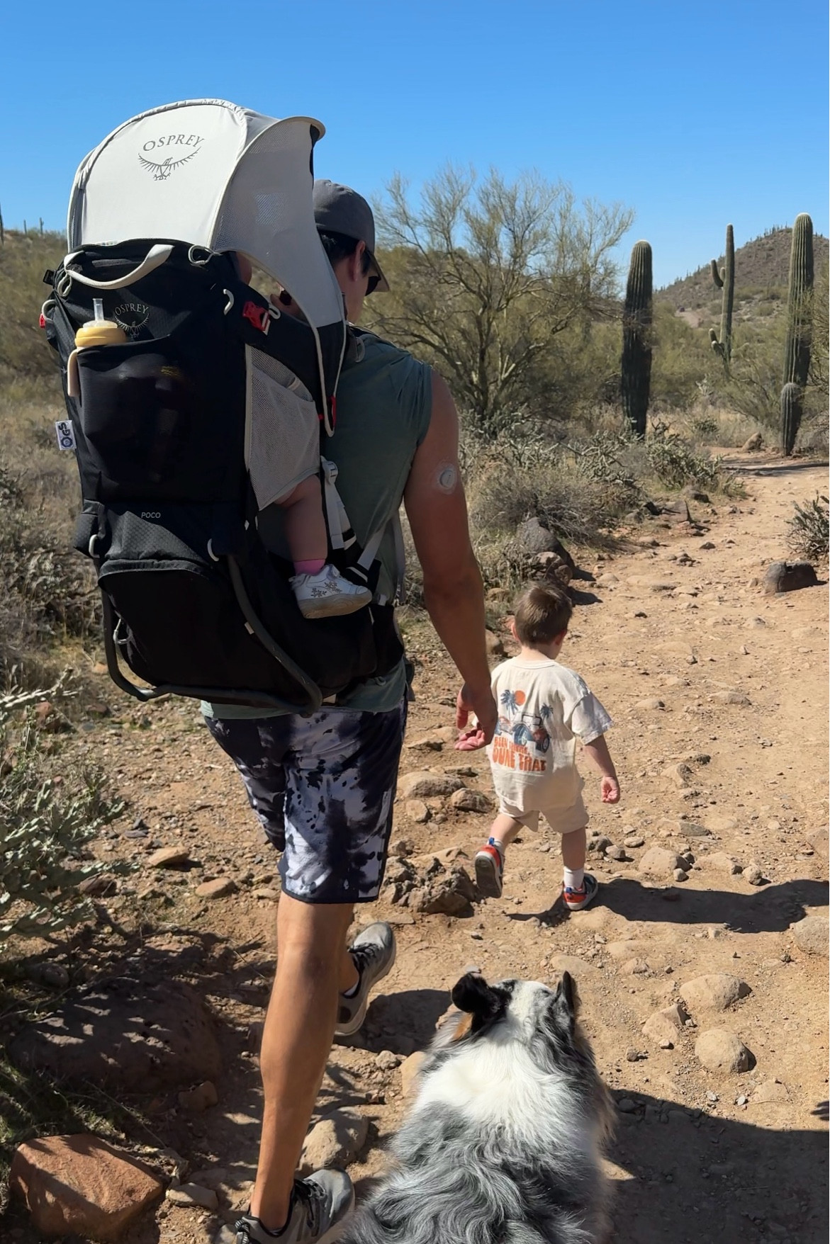 We've used this backpack with both kids and love it!

#LTKActive #LTKKids #LTKTravel