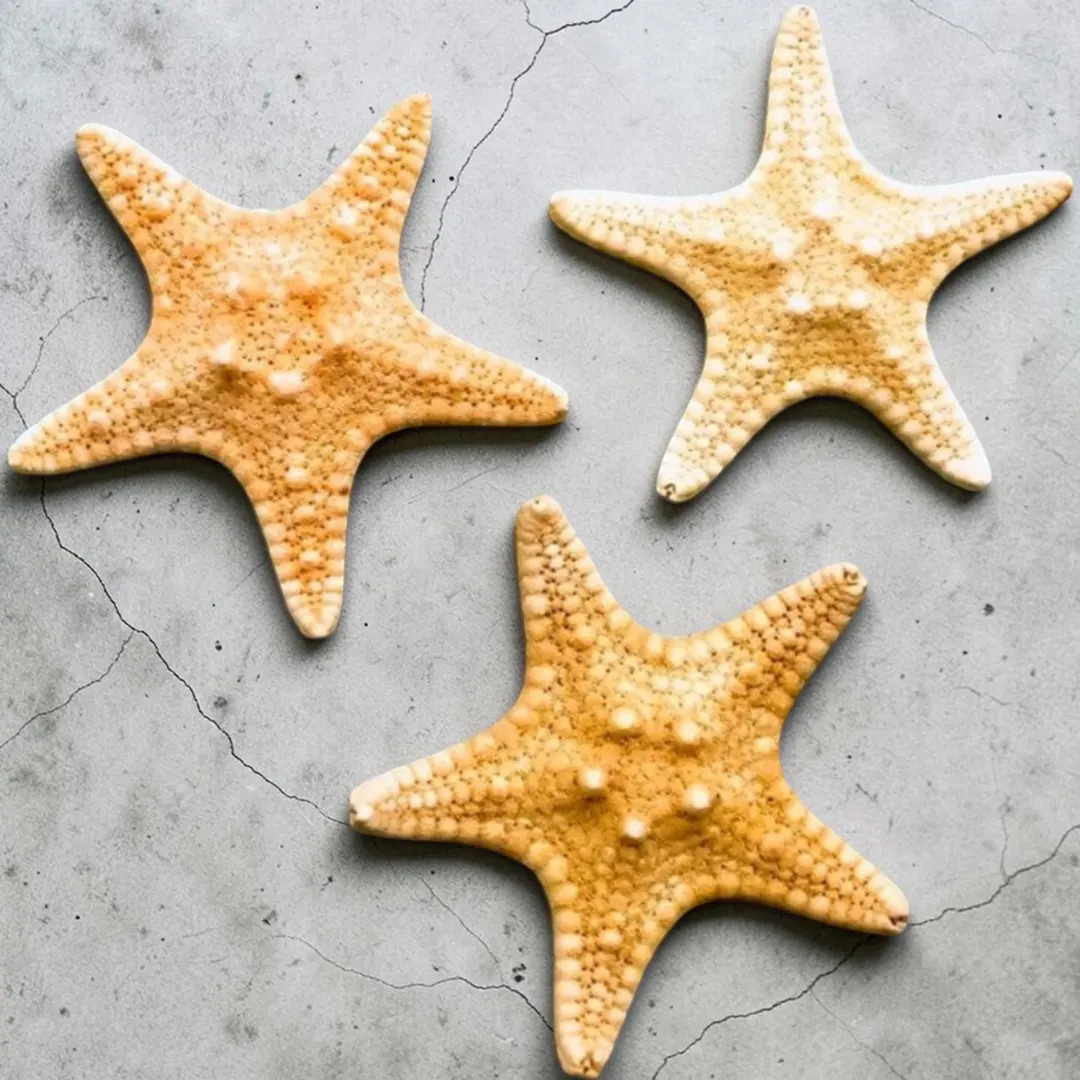 In 20+ carts | Etsy (US)