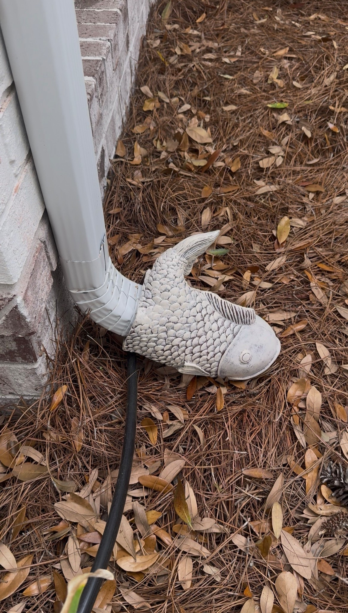 The cutest little rain spout from @Amazon 

#LTKSeasonal #LTKHome