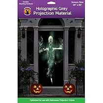 36" x 80" Gray Door Holographic Rear Projection Screen with Mounting Hardware for Projecting Hallowe | Amazon (US)