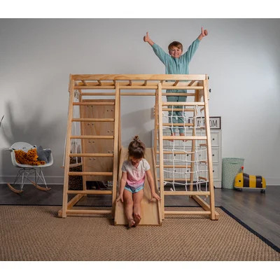 Avenlur Indoor Toddler & Child Gym Playground Climber | Wayfair North America