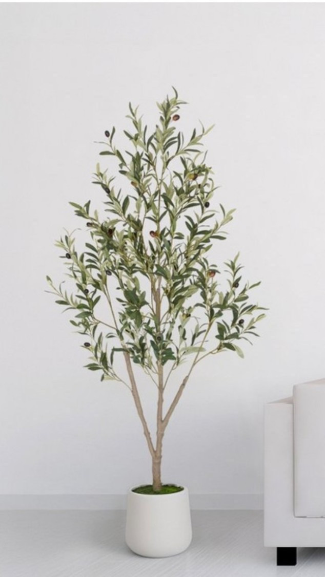 Faux Olive Tree

Over 50% OFF ‼️

5ft Olive Tree is over 50% off at Target 🎯

#LTKHome #LTKSaleAlert #LTKU