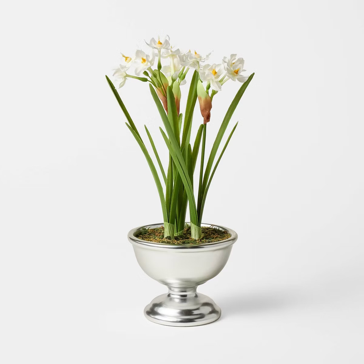 Grabbed these pretty paperwhites from the @Target holiday drop!

#LTKHome #LTKSeasonal #LTKdayinmylife