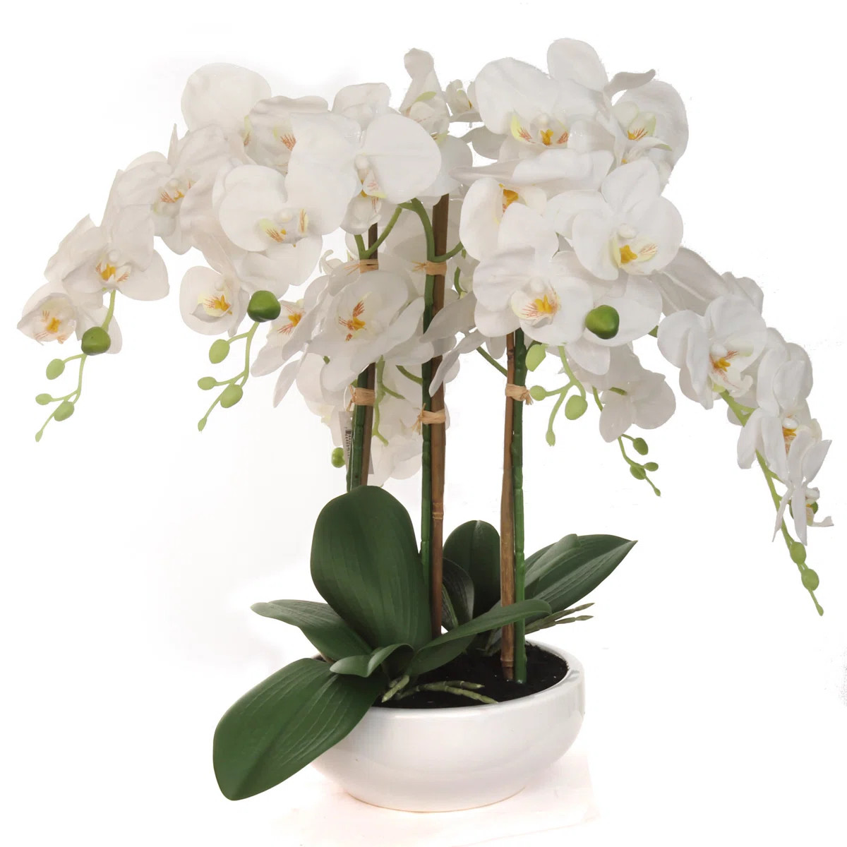 Orchid Floral Arrangement in Vase - Elegant Artificial Flowers for Home & Office | Wayfair North America