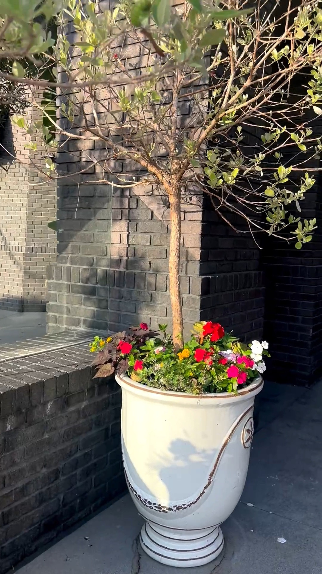 classical feel to an outdoor space. I love the timeless urn shape, the substantial scale, and the way the colorful blooms soften the look and make it feel so inviting.

It’s a beautiful way to add charm, structure, and a more elevated garden feel to an entryway or patio. Planters linked in my LTK.

#LTKHome #Planter #OutdoorPlanter #GardenPlanter #UrnPlanter #ClassicalStyle #OutdoorDecor #PatioDecor #GardenDecor #EntrywayDecor #LandscapeDesign #ContainerGarden #OutdoorLiving

#LTKdayinmylife #LTKHome #LTKSaleAlert