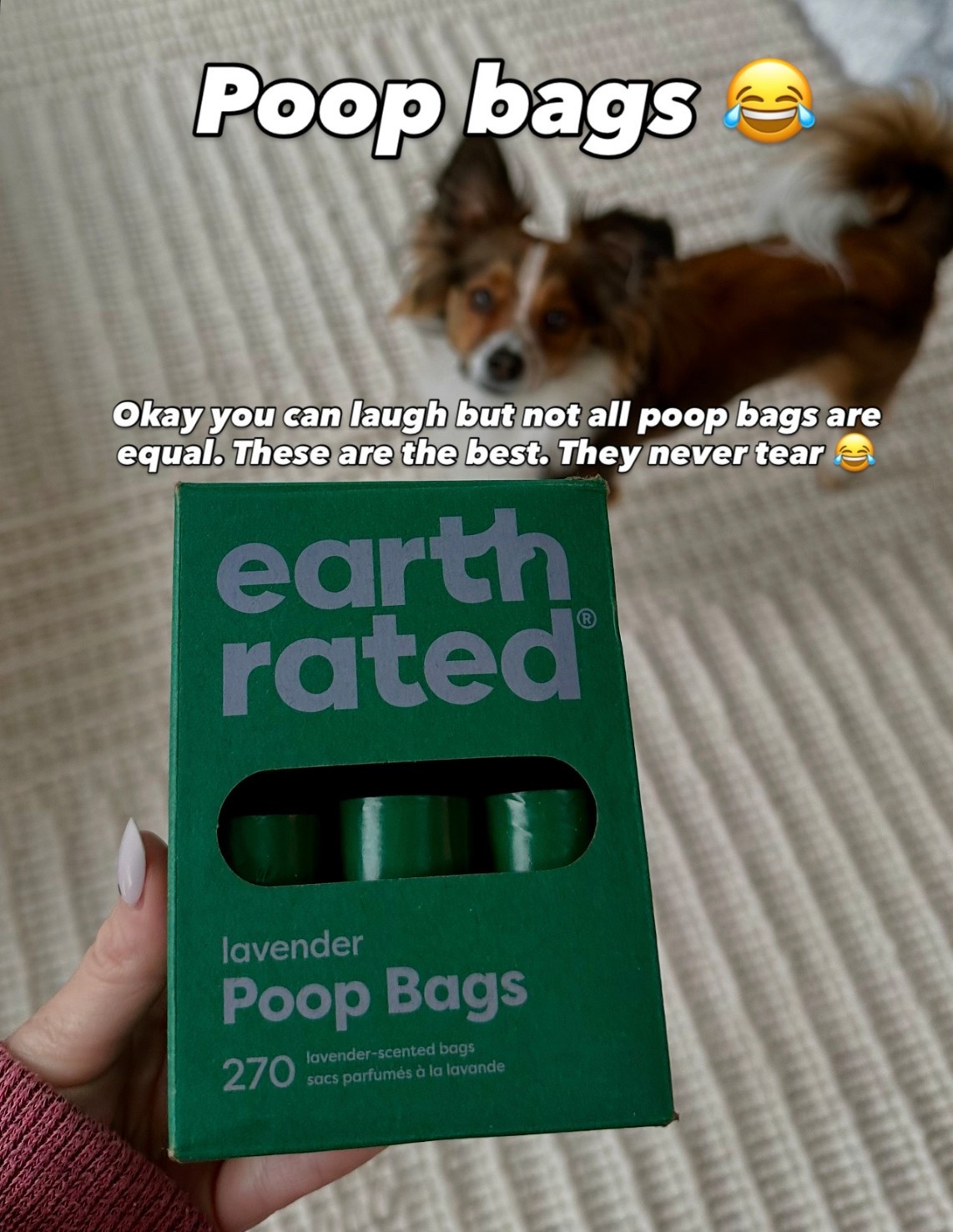 The best poop bags ever 

#LTKPets